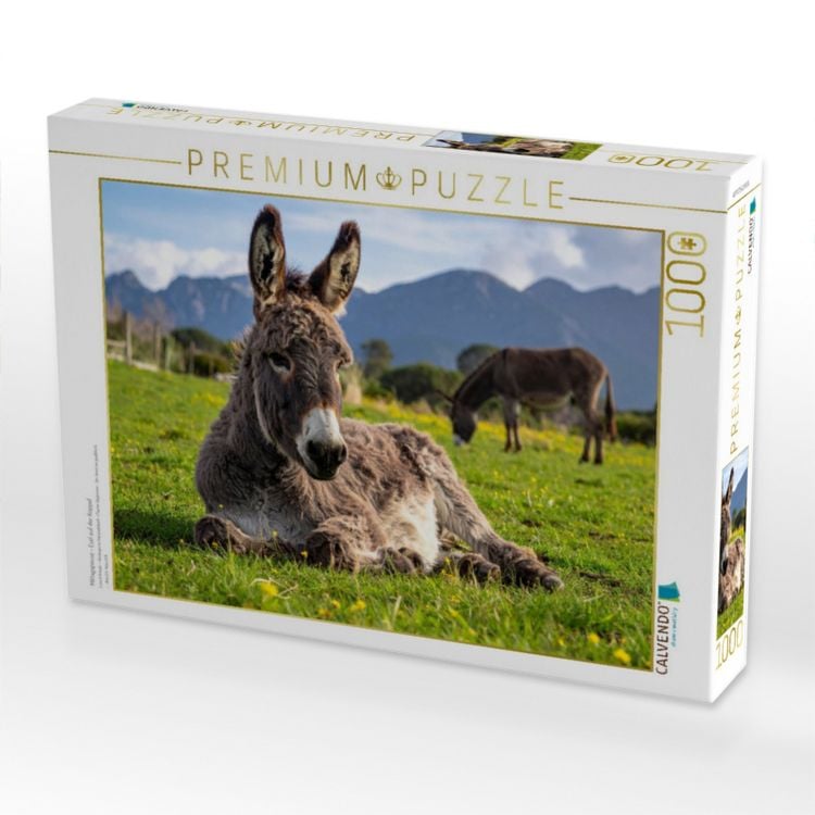 Produktbild: CALVENDO Puzzle Mittagspause - Esel auf der Koppel | 1000 Teile Lege-Gr&ouml;&szlig;e 64x48cm Foto-Puzzle f&uuml;r gl&uuml;ckliche Stunden