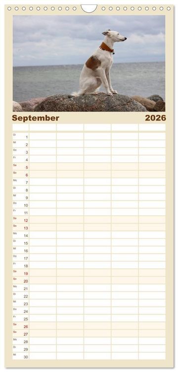 Produktbild: Familienplaner 2026 - Der Silken Windsprite - ein Seelenhund mit 5 Spalten (Wandkalender, 21 x 45 cm) CALVENDO