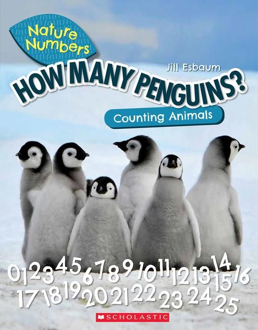 Produktbild: How Many Penguins?: Counting Animals (Nature Numbers)