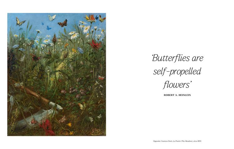 Produktbild: The Book of the Butterfly
