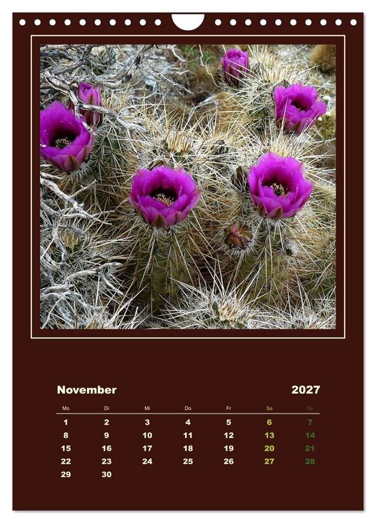 Produktbild: Wilde Kakteen Amerikas (Wandkalender 2027 DIN A4 hoch), CALVENDO Monatskalender