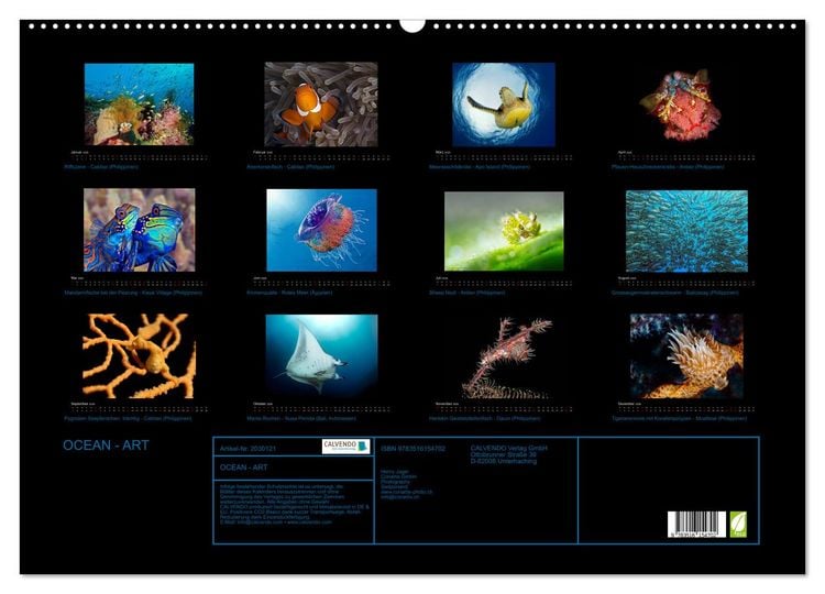 Produktbild: OCEAN - ART (Wandkalender 2026 DIN A2 quer), CALVENDO Monatskalender