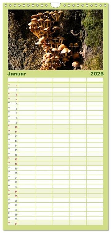 Produktbild: Familienplaner 2026 - Schwammerl Egerlinge Pilze mit 5 Spalten (Wandkalender, 21 x 45 cm) CALVENDO