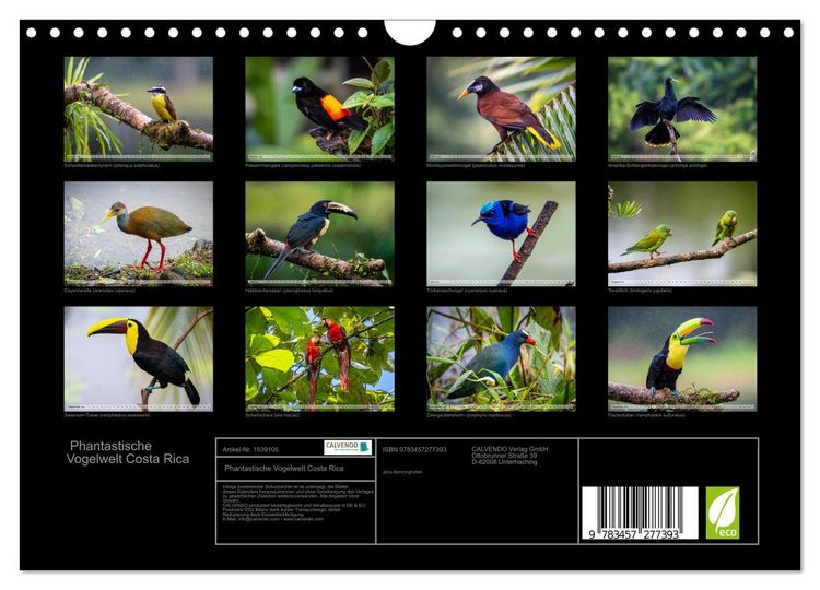 Produktbild: Phantastische Vogelwelt Costa Rica (Wandkalender 2026 DIN A4 quer), CALVENDO Monatskalender