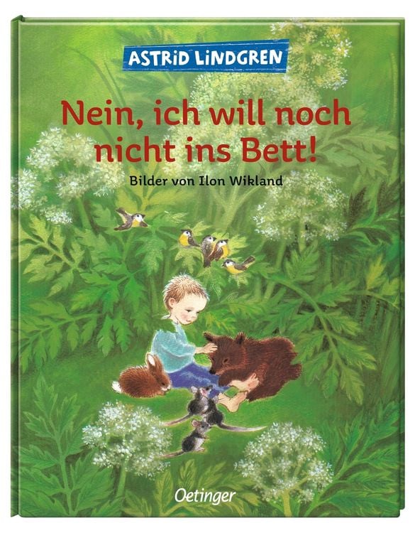 Produktbild: Nein, ich will noch nicht ins Bett!