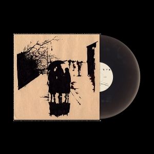 Produktbild: DIRECTIONS (Black Ice Vinyl)