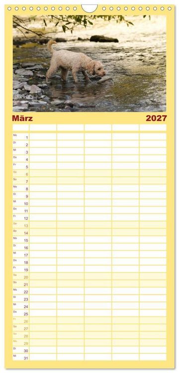 Produktbild: Familienplaner 2027 - Lockenw&ouml;lfe - Energieb&uuml;ndel Pudel mit 5 Spalten (Wandkalender, 21 x 45 cm) CALVENDO