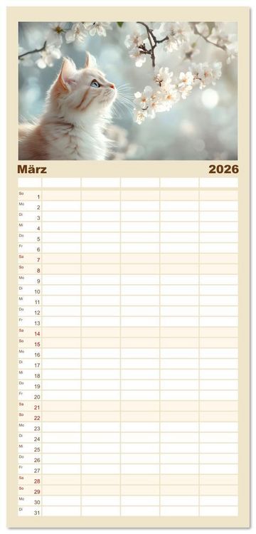 Produktbild: Familienplaner 2026 - Katzen - sanfte Sch&ouml;nheiten mit 5 Spalten (Wandkalender, 21 x 45 cm) CALVENDO