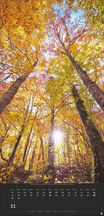 Produktbild: Colourful Nature 2027