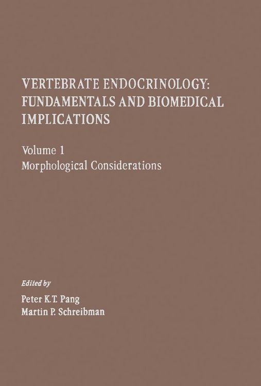 Produktbild: Morphological Considerations