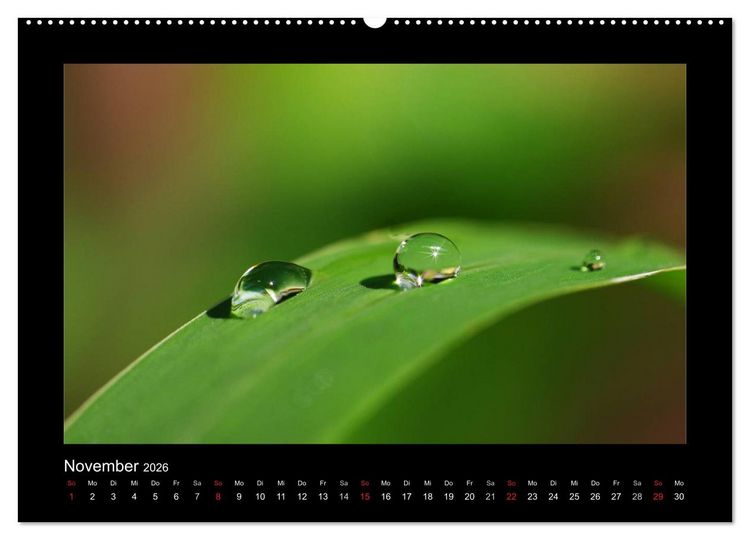 Produktbild: Meine kleine gr&uuml;ne Wassertropfen Welt (hochwertiger Premium Wandkalender 2026 DIN A2 quer), Kunstdruck in Hochglanz