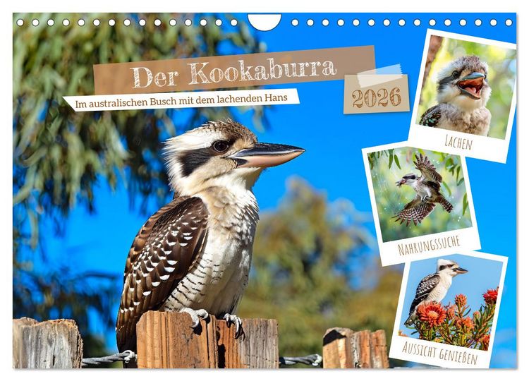 Produktbild: Der Kookaburra - Im australischen Busch mit dem lachenden Hans (Wandkalender 2026 DIN A4 quer), CALVENDO Monatskalender