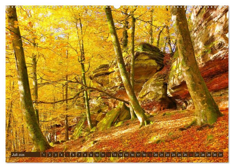 Produktbild: Der Altschlossfelsen - Gr&ouml;&szlig;te Felsformation der Pfalz im herbstlichen Farbspiel (hochwertiger Premium Wandkalender 2026 DIN A2 quer), Kunstdruck in Hochglanz