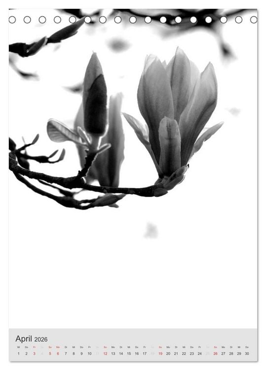 Produktbild: Monochrome Bl&uuml;ten - In Schwarz-Wei&szlig; Bildern durch das Jahr (Tischkalender 2026 DIN A5 hoch), CALVENDO Monatskalender
