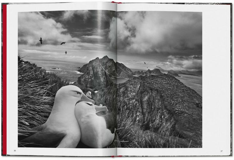 Produktbild: Sebasti&atilde;o Salgado