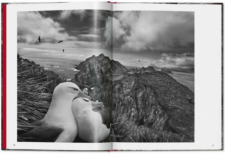 Produktbild: Sebasti&atilde;o Salgado. G&eacute;nesis