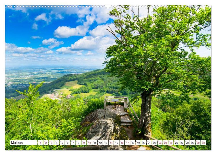 Produktbild: Idyllischer Schwarzwald (Wandkalender 2026 DIN A2 quer), CALVENDO Monatskalender