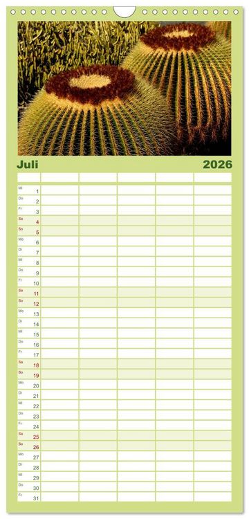 Produktbild: Familienplaner 2026 - Vulkaninsel Lanzarote mit 5 Spalten (Wandkalender, 21 x 45 cm) CALVENDO