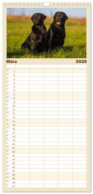 Produktbild: Familienplaner 2026 - Labrador Retriever - Freunde f&uuml;r&acute;s Leben mit 5 Spalten (Wandkalender, 21 x 45 cm) CALVENDO