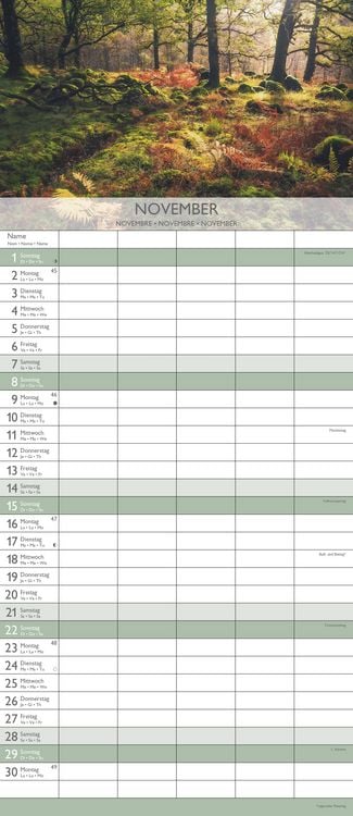 Produktbild: Traumziele 2026 Familienplaner - Familienkalender - Wandkalender - 19,5x45