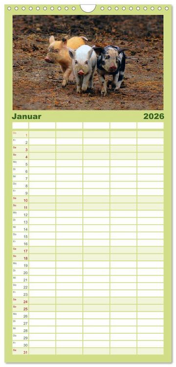 Produktbild: Familienplaner 2026 - Muh, M&auml;h, Miau & Co mit 5 Spalten (Wandkalender, 21 x 45 cm) CALVENDO