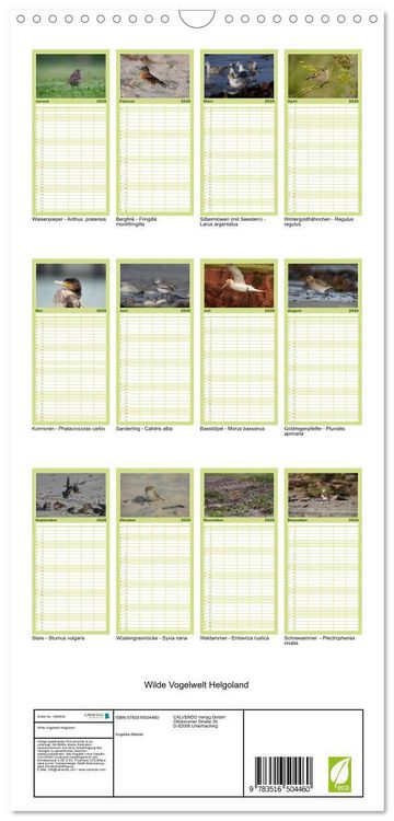 Produktbild: Familienplaner 2026 - Wilde Vogelwelt Helgoland mit 5 Spalten (Wandkalender, 21 x 45 cm) CALVENDO