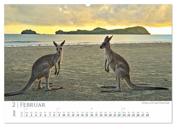 Produktbild: Australien - Highlights Ostk&uuml;ste (hochwertiger Premium Wandkalender 2026 DIN A2 quer), Kunstdruck in Hochglanz