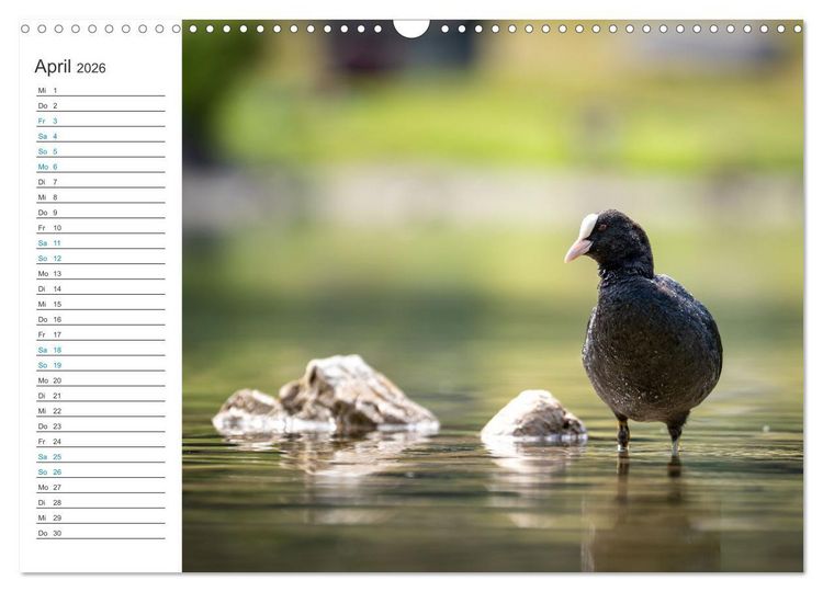 Produktbild: Faszination Alpen (Wandkalender 2026 DIN A3 quer), CALVENDO Monatskalender
