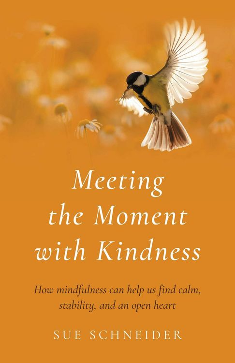 Produktbild: Meeting the Moment with Kindness