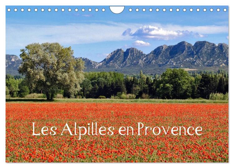 Produktbild: Les Alpilles en Provence (Calendrier mural 2026 DIN A4 vertical), CALVENDO calendrier mensuel
