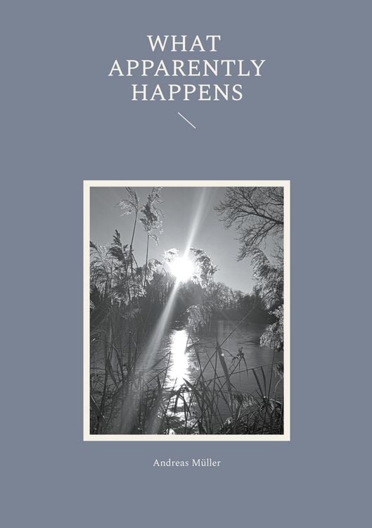 Produktbild: What apparently happens