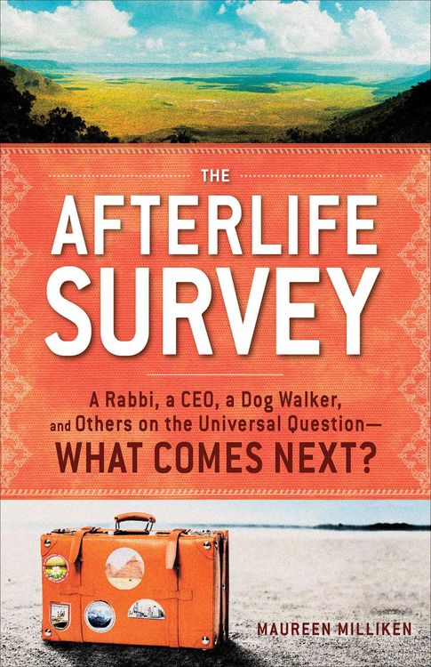 Produktbild: Afterlife Survey