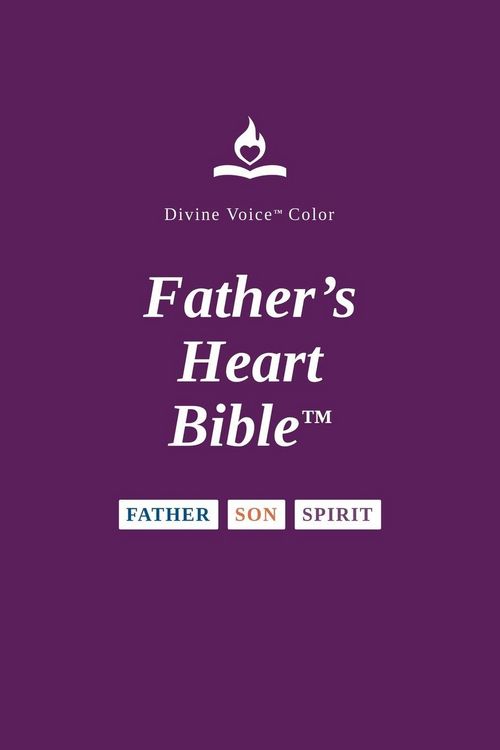 Produktbild: Father's Heart Bible - Large Print - Plum Paperback