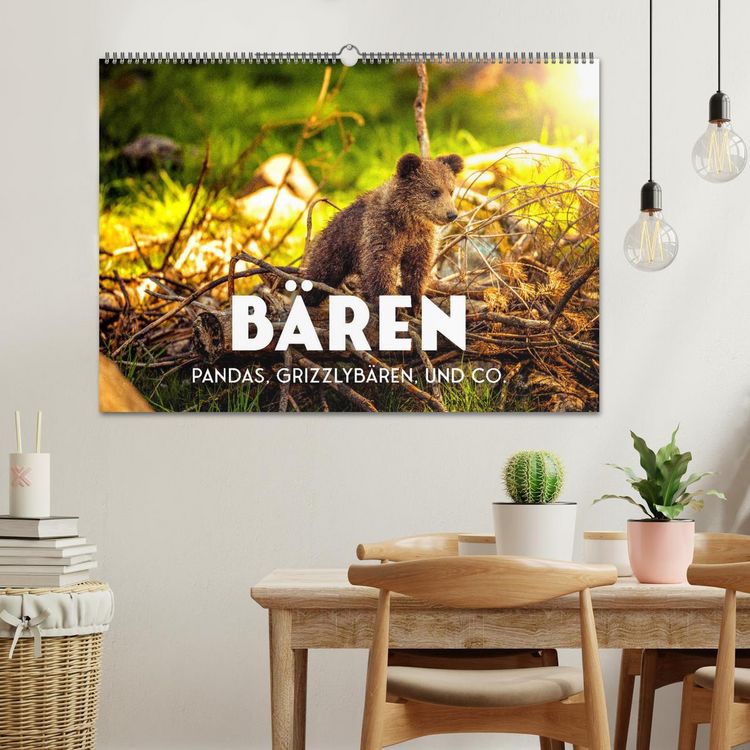 Produktbild: B&auml;ren - Pandas, Grizzlyb&auml;ren und Co. (Wandkalender 2026 DIN A2 quer), CALVENDO Monatskalender