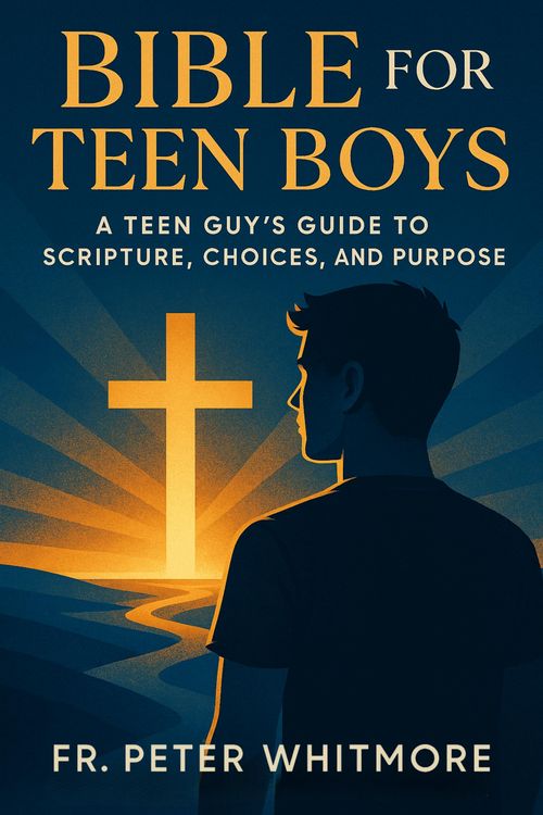 Produktbild: Bible for Teen Boys