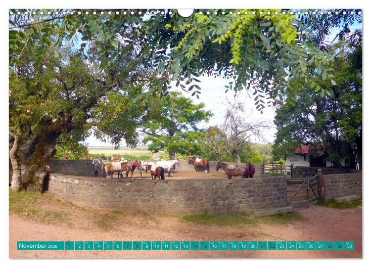 Produktbild: Uruguay - Land of the gauchos (Wall Calendar 2026 DIN A3 landscape), CALVENDO 12 Month Wall Calendar