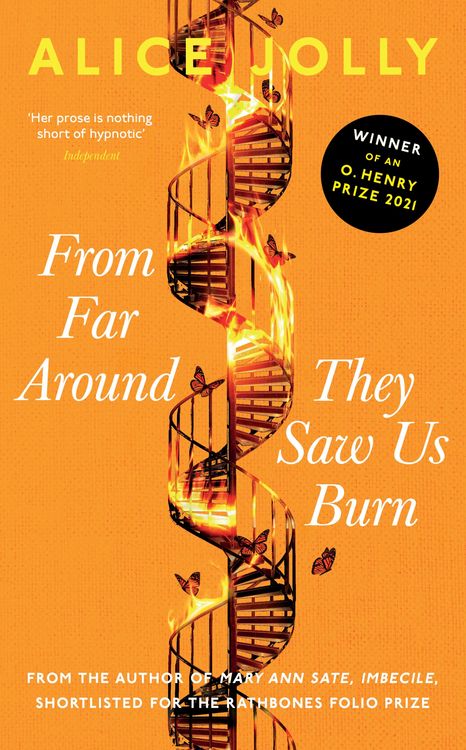 Produktbild: From Far Around They Saw Us Burn