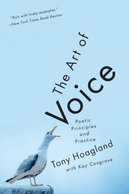 Produktbild: The Art of Voice
