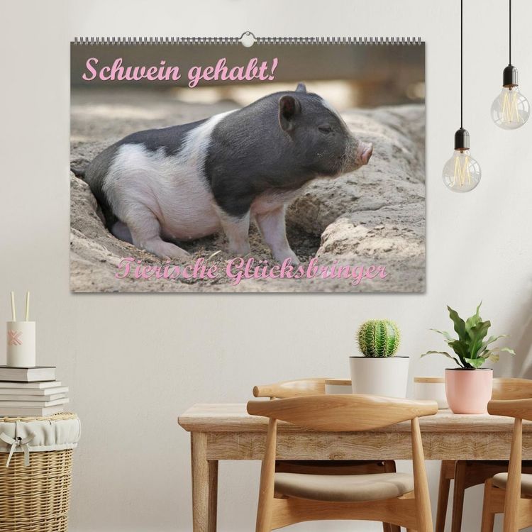 Produktbild: Schwein gehabt! (Wandkalender 2027 DIN A2 quer), CALVENDO Monatskalender