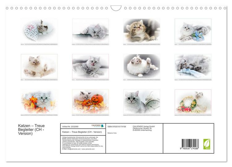 Produktbild: Katzen &ndash; Treue Begleiter (CH - Version) (Wandkalender 2026 DIN A3 quer), CALVENDO Monatskalender