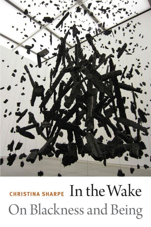 Produktbild: In the Wake