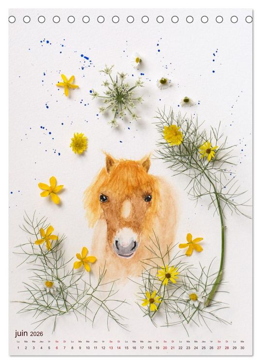 Produktbild: Animaux &agrave; l'aquarelle et v&eacute;g&eacute;taux (Calendrier de bureau 2026 DIN A5 horizontal), CALVENDO calendrier mensuel