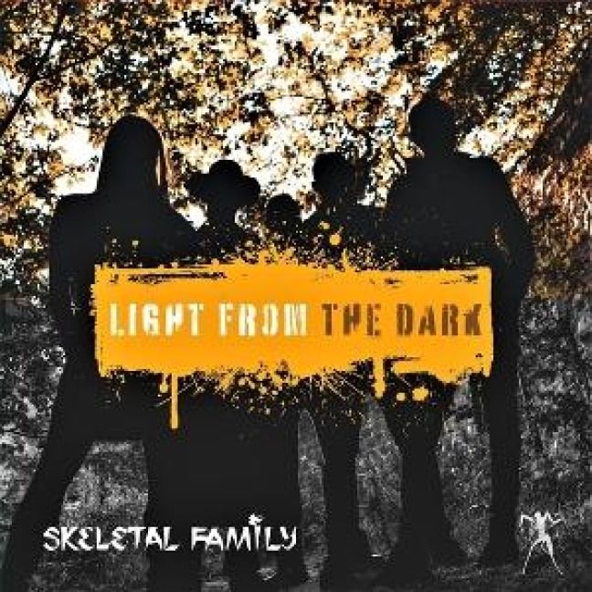 Produktbild: Light From The Dark