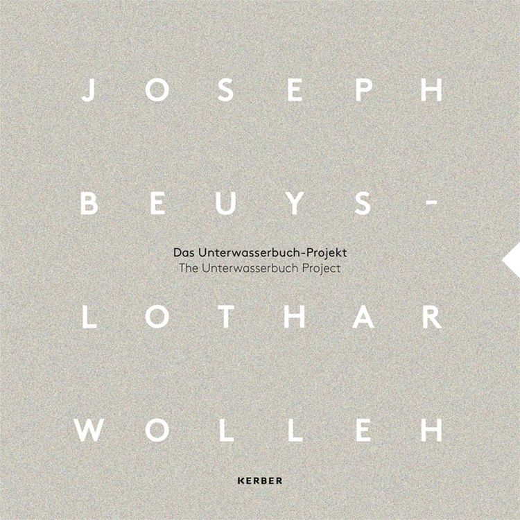 Produktbild: Joseph Beuys und Lothar Wolleh
