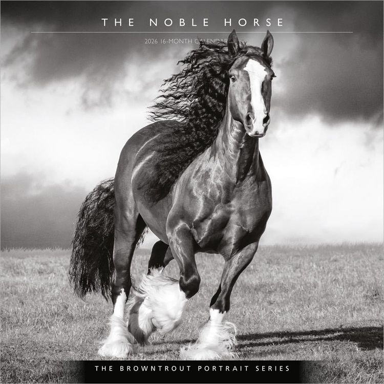 Produktbild: The Browntrout Portrait Series: The Noble Horse 2026 12 X 24 Inch (Hanging) Monthly Square Wall Calendar Plastic-Free