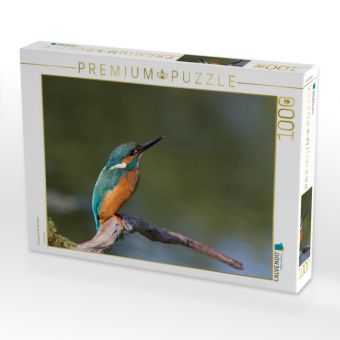 Produktbild: CALVENDO Puzzle Eisvogel auf der Sitzwarte | 1000 Teile Lege-Gr&ouml;&szlig;e 64x48cm Foto-Puzzle f&uuml;r gl&uuml;ckliche Stunden