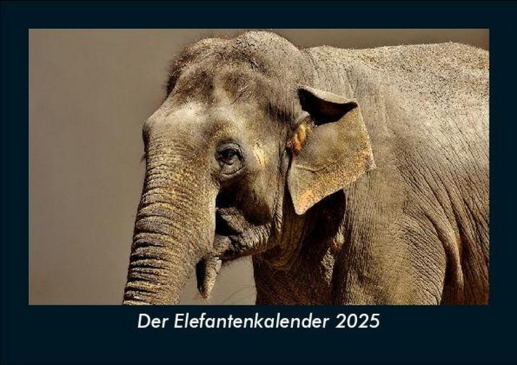 Produktbild: Der Elefantenkalender 2025 Fotokalender DIN A5