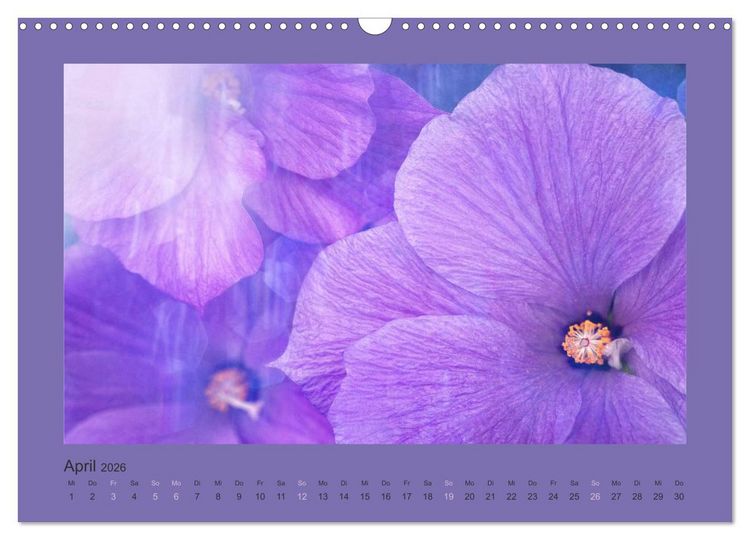 Produktbild: 12 Farben (Wandkalender 2026 DIN A3 quer), CALVENDO Monatskalender