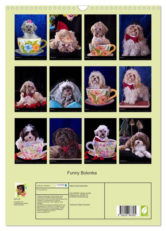 Produktbild: Funny Bolonka (Wandkalender 2026 DIN A3 hoch), CALVENDO Monatskalender