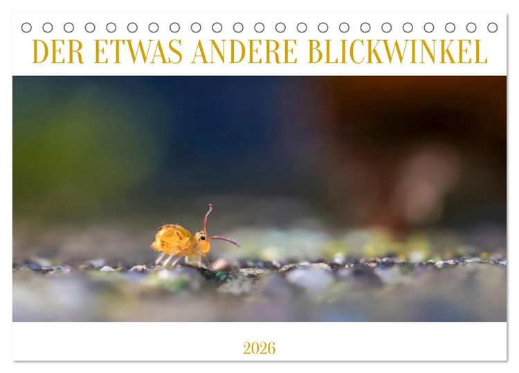 Produktbild: Der etwas andere Blickwinkel (Tischkalender 2026 DIN A5 quer), CALVENDO Monatskalender